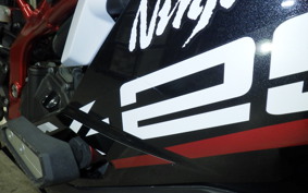 KAWASAKI ZX-25R 2017 ZX250E