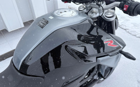 BMW F900R PREMIUM  LINE 2024 0K11