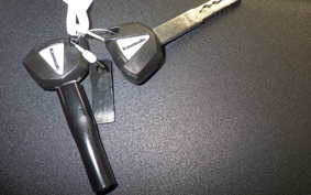 KAWASAKI NINJA ZX-6R A 2025 ZX636J