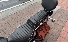 HARLEY FLSTC 2006 BJY