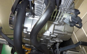 HONDA MONKEY 125 2024 JB02