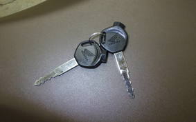 HONDA ﾀﾞﾝｸ 2014 AF78