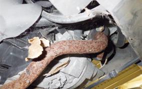 YAMAHA VINO 50 SA26J