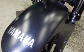YAMAHA MT-25 A