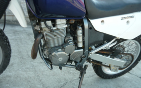 SUZUKI DJEBEL250XC SJ45A
