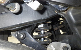 KAWASAKI NINJA 250R 2019 EX250K