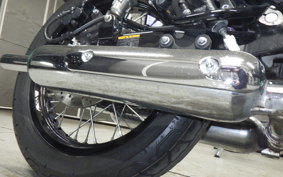 KAWASAKI W800 CAFE 2019 EJ800B