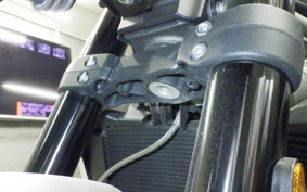 TRIUMPH STREET TRIPLE R 2021