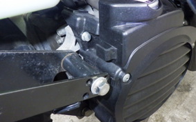 HONDA ZOOMER 2022 AF58