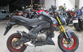 KAWASAKI Z125 PRO BR125H