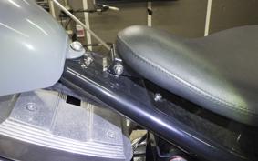 OTHER +UNREGISTERED MODEL by BDS250 2017