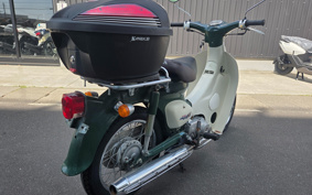 HONDA LITTLE CUB C50