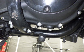 HARLEY XL883N 2013