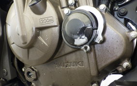SUZUKI ｼﾞｸｻｰ250 2020 ED22Y