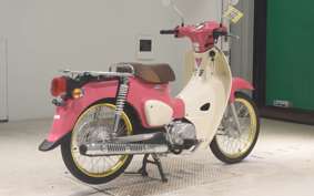 HONDA C50 SUPER CUB 2009 AA09