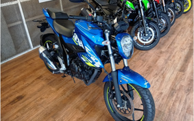 SUZUKI JIKUSA-150 ED13N