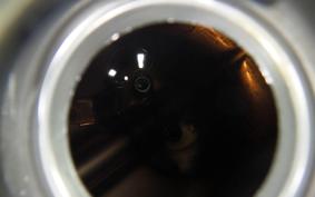 HONDA CT110 HUNTER CUB 2019