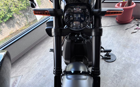 HARLEY FXDR114 2019 YVK
