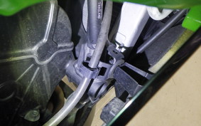 KAWASAKI NINJA 250 EX250P