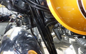 KAWASAKI W800 2011 EJ800A