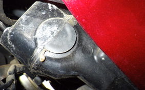 HONDA CBR1100XX 1998