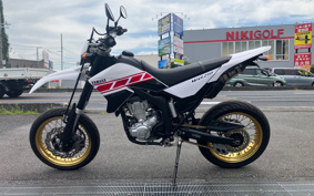 YAMAHA WR250X DG15J