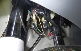 OTHER +UNREGISTERED MODEL by BDS TRIKE250 2014