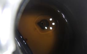 HONDA C50 SUPER CUB E AA01