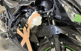 KAWASAKI NINJA 250 EX250L