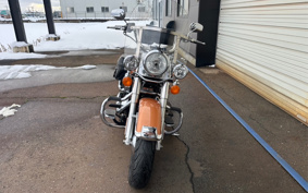 HARLEY FLSTC 105th 2008 BW5