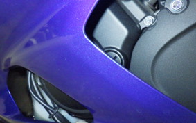 YAMAHA YZF-R15 1999 RG86J