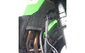 KAWASAKI NINJA ZX-4RR KRT ED 2025 ZX400P