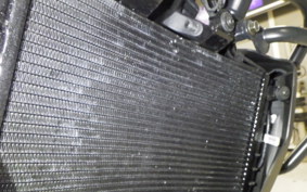 HARLEY ﾊﾟﾝ AMERICA1250ST 2025