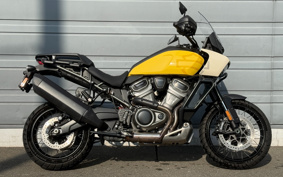 HARLEY PAN AMERICA 1250 SPECIAL 2023 ZES