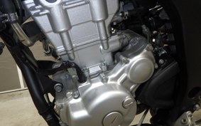YAMAHA WR250X 2020 DG15J