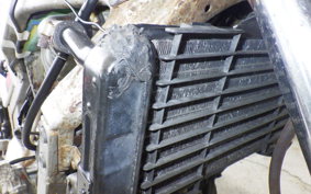 YAMAHA FZR250 2KR