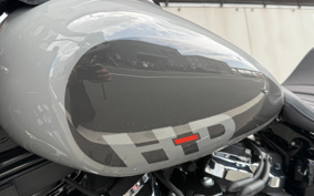 HARLEY FXFBS 2026 YLK