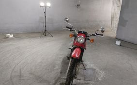 SUZUKI TS250 TS2504