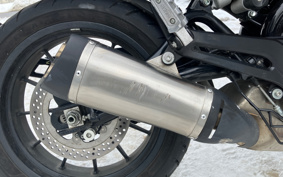 HARLEY X500 2024 W5B