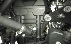 YAMAHA MT-25 A RG74J