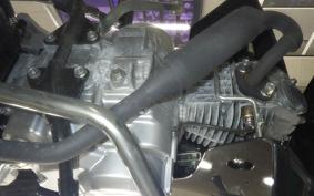 HONDA C110 SUPER CUB