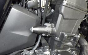 HONDA REBEL 1100 2022 SC83