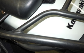 KAWASAKI ELIMINATOR400-3 2023 EL400A