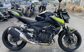 KAWASAKI Z250ABS EX250P