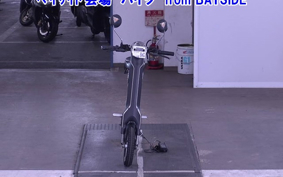 OTHER MINI BIKE