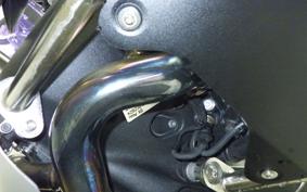 BMW R1300GS 2024