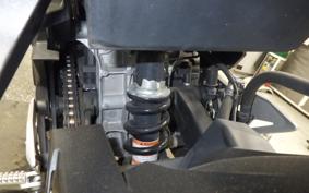 KAWASAKI NINJA 250 2021