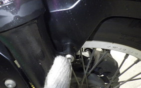 KAWASAKI VERSYS X250 A 2025 LE250D