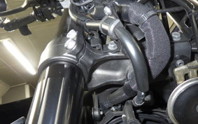 YAMAHA XSR900 2021 RN56J