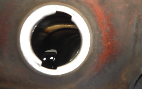 SUZUKI LANDY 1999 FM50